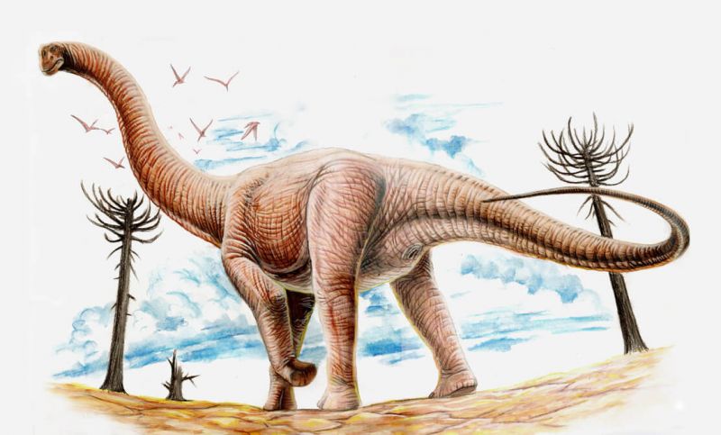 Argentinosaurus, Dinosaurus Terbesar Pemakan Tumbuhan