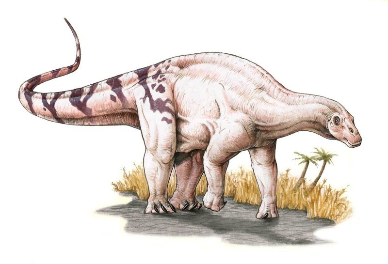 Brachylophosaurus, Dinosaurus Bergigi Banyak