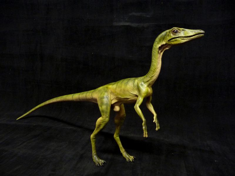 Compsognathus, Si Dinosaurus Ayam